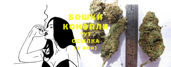 прущие крисы Пересвет