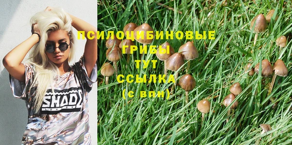 марки lsd Заволжск