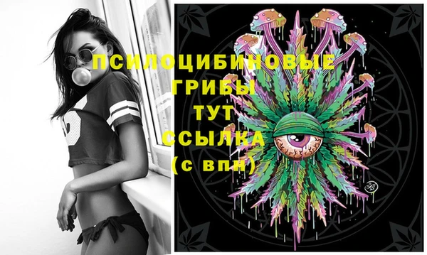 прущие крисы Пересвет